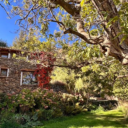 La Casa Del Nogal Villa Guejar Sierra Exteriör bild