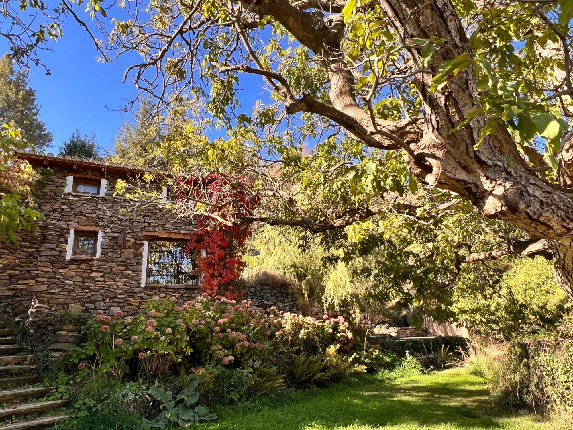 La Casa Del Nogal Villa Guejar Sierra Exteriör bild